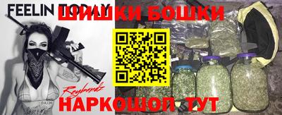 прущие грибы Братск