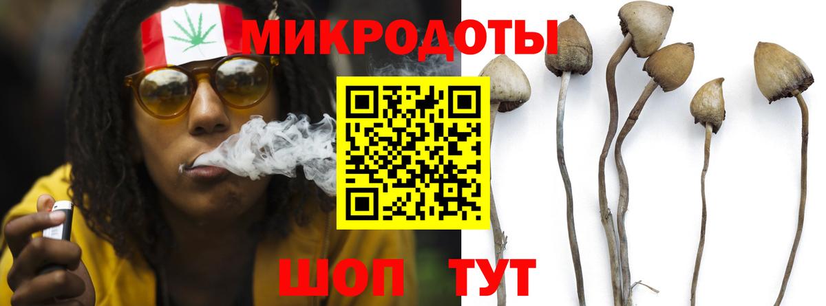 Псилоцибиновые грибы ЛСД Мыски